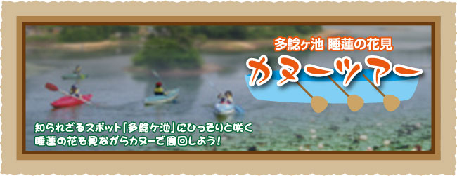 知られざるスポット「多鯰ケ池」にひっそりと咲く 睡蓮の花を見ながらカヌーで周回しよう