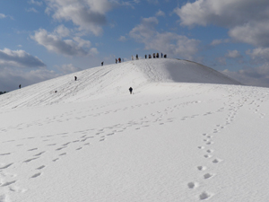 雪景色1